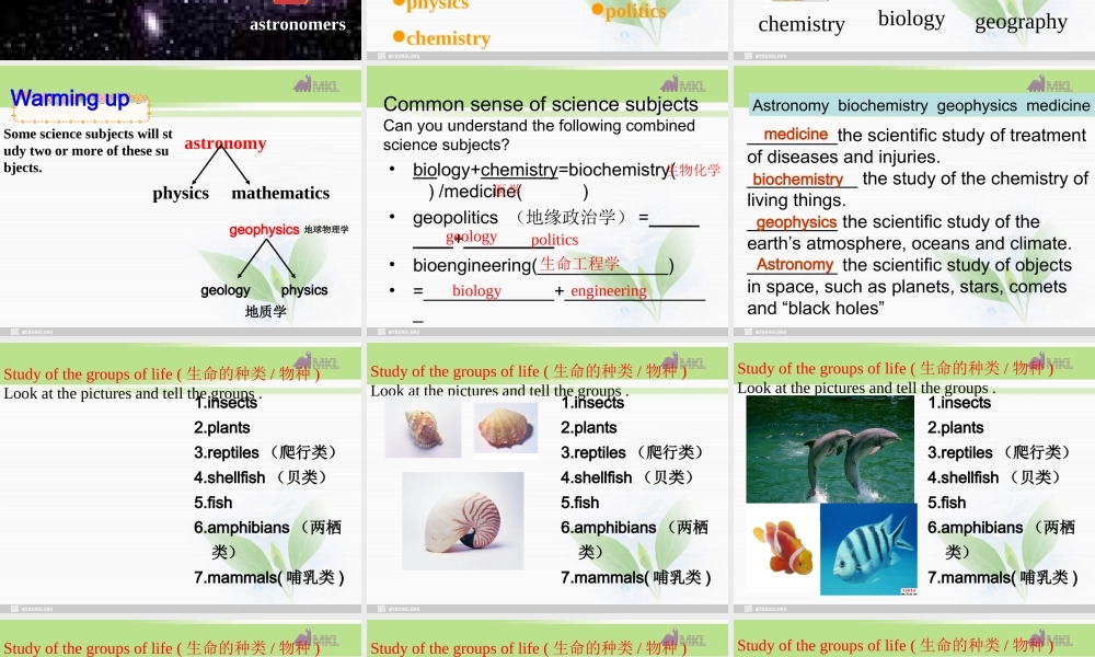 必修三 4.3《Unit 4 reading》.ppt