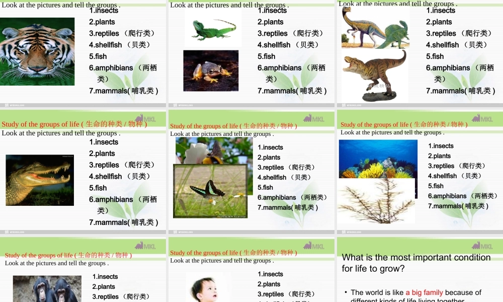 必修三 4.3《Unit 4 reading》.ppt