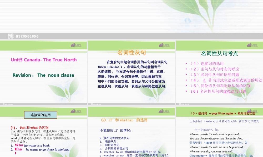 必修三 5.6《Unit 5 Canada-The true north》课件（新课标人教版－必修3）.ppt