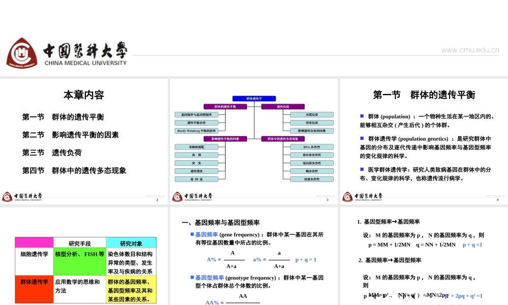 第6章群体遗传学-2h.ppt