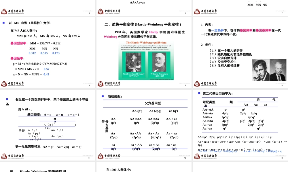 第6章群体遗传学-2h.ppt