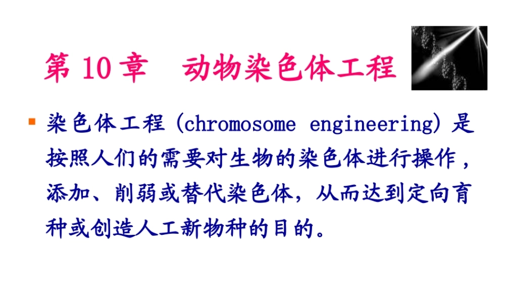 第10章 动物染色体工程(1).ppt