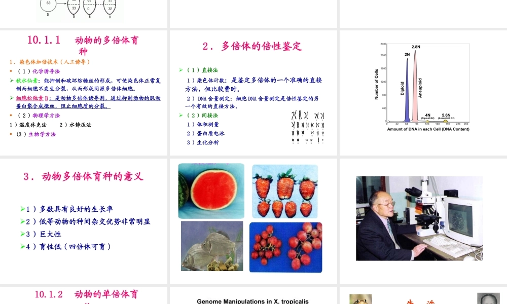 第10章 动物染色体工程(1).ppt