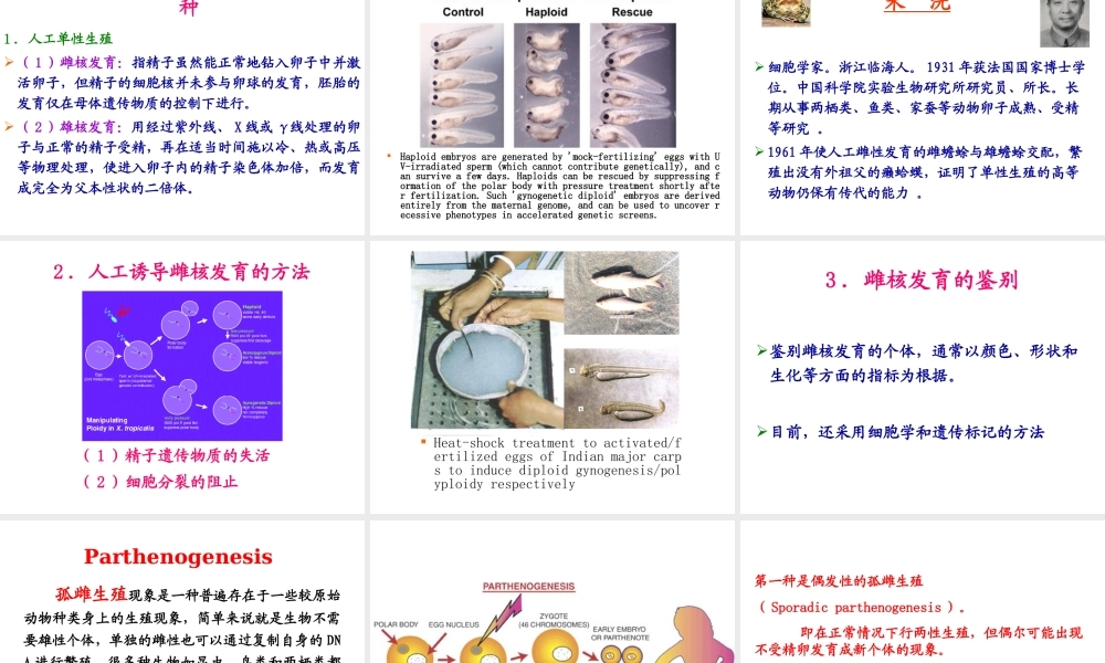 第10章 动物染色体工程(1).ppt