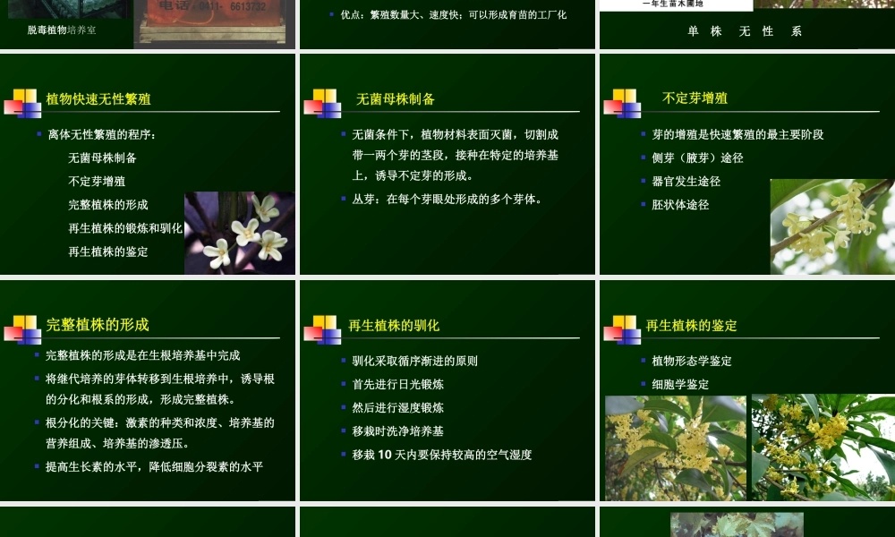 第12章植物的快速繁殖(1).ppt