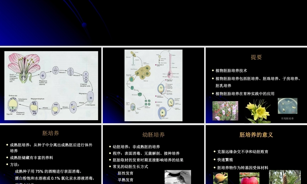 第14章植物胚胎培养(1).ppt