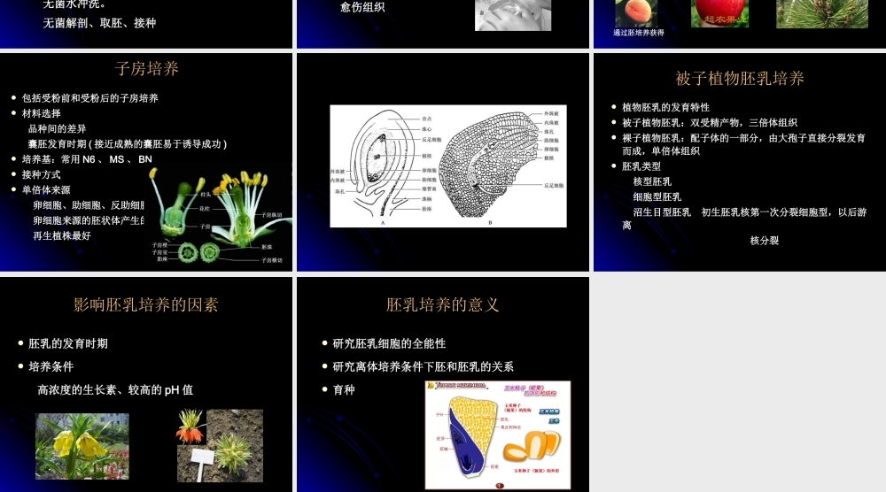 第14章植物胚胎培养(1).ppt