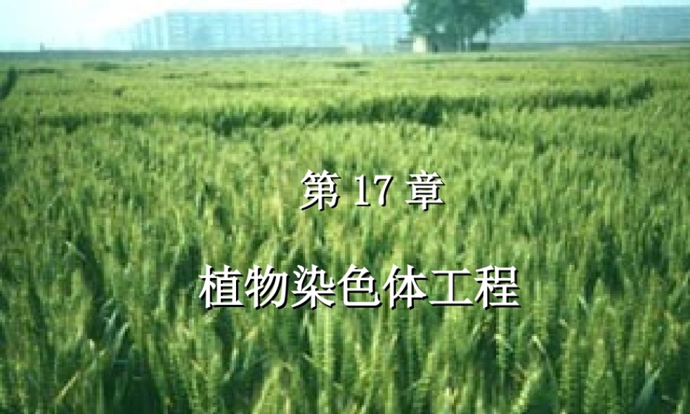 第17章 植物染色体工程(1).ppt