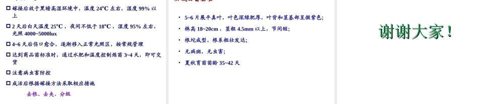 第八章 蔬菜工厂化育苗-番茄.ppt