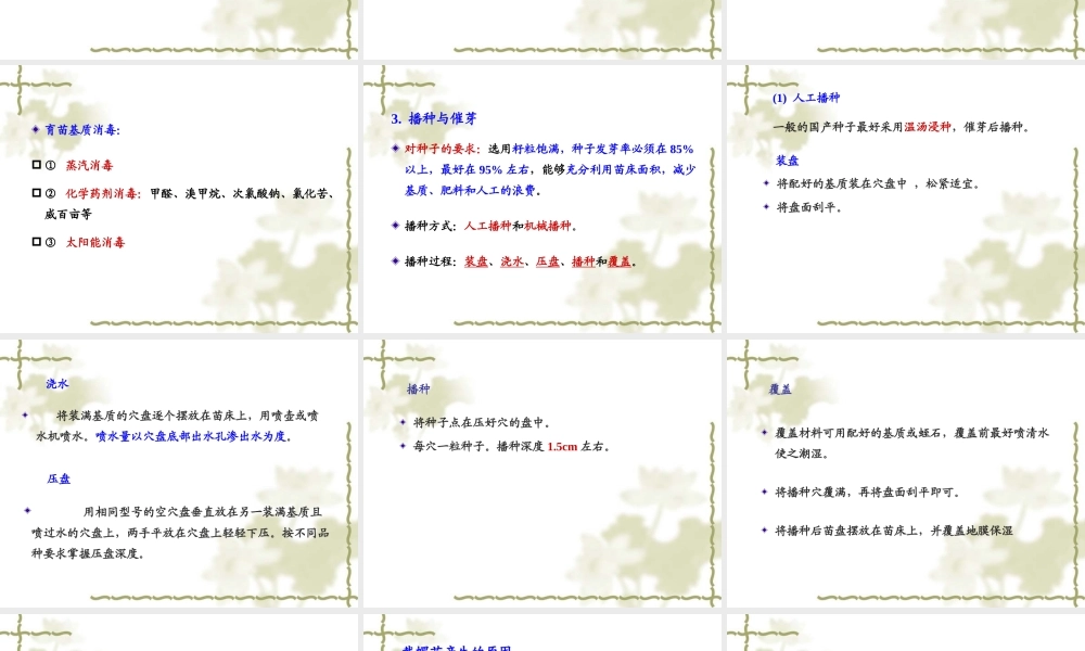第八章 瓜类蔬菜穴盘育苗技术.ppt