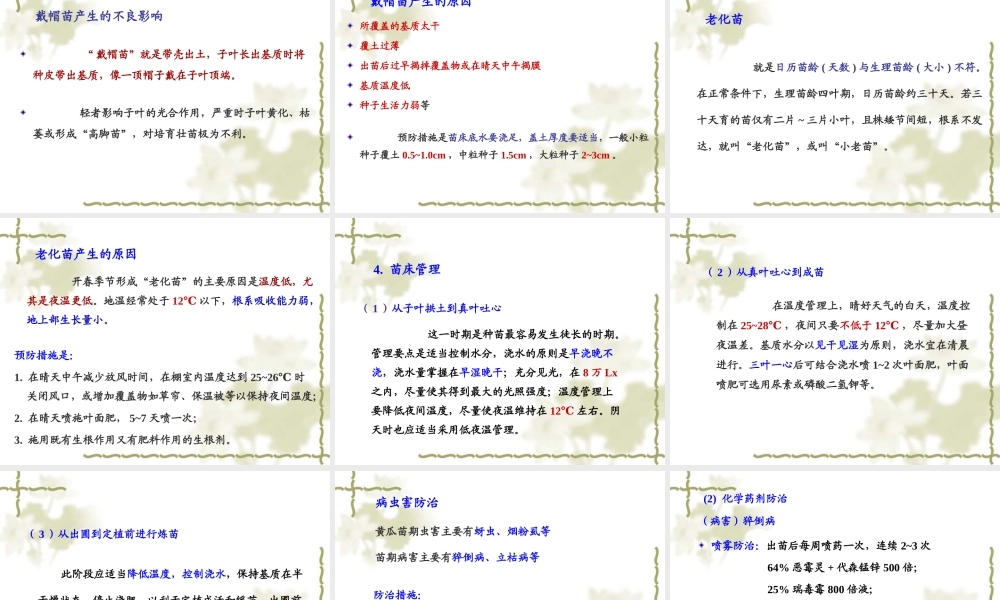 第八章 瓜类蔬菜穴盘育苗技术.ppt