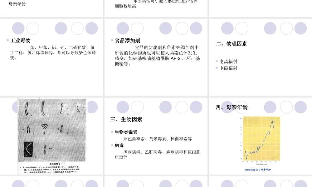 第九章染色体畸变 (2).ppt