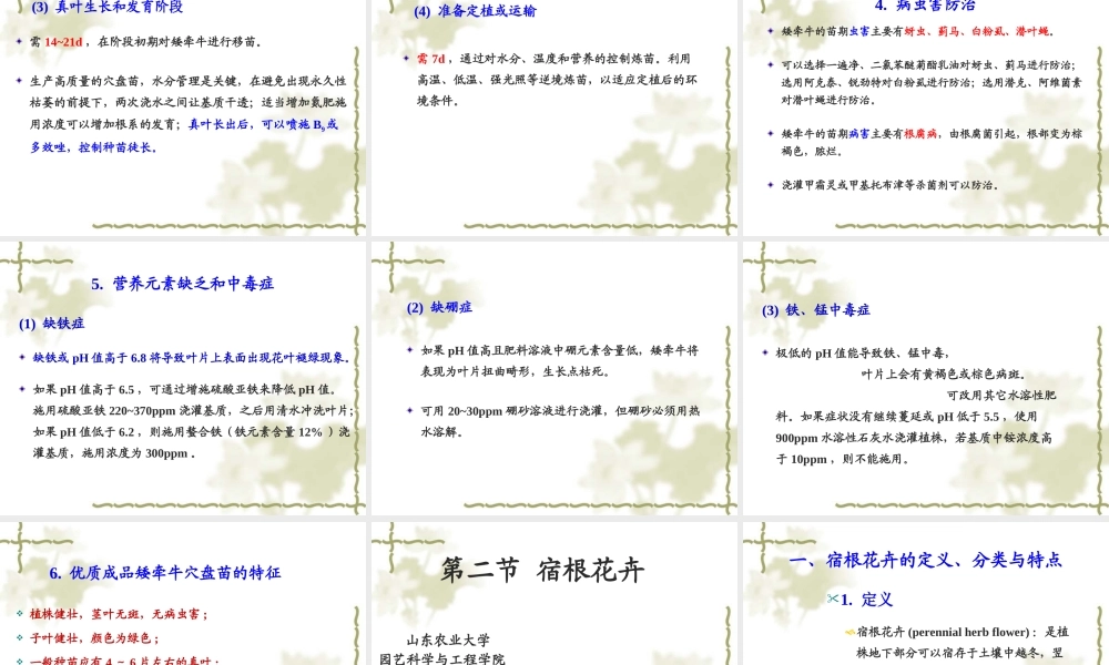 第九章 花卉工厂化育苗技术.ppt