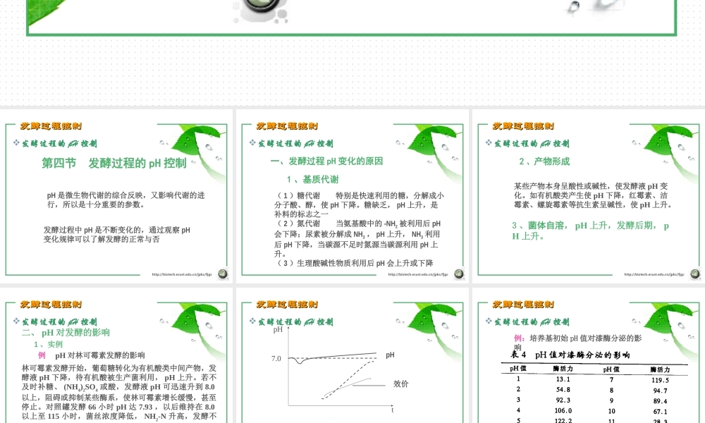 第七章 发酵过程控制4.ppt