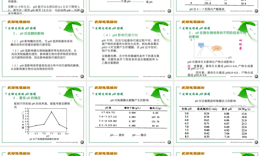 第七章 发酵过程控制4.ppt