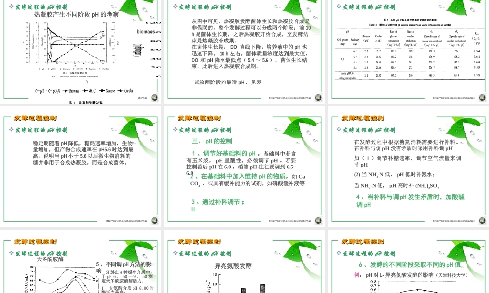 第七章 发酵过程控制4.ppt