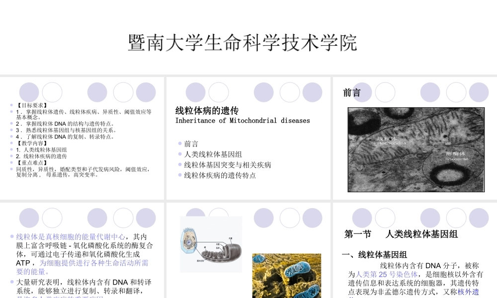 第七章线粒体病的遗传.ppt