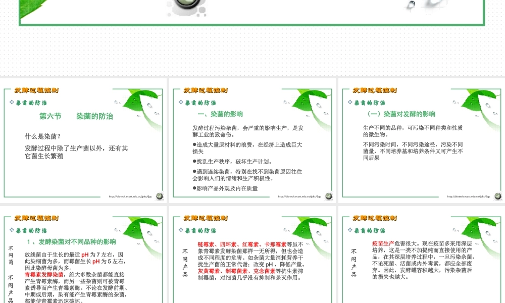 第七章 发酵过程控制6.ppt