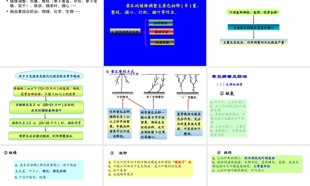 第七章 主要蔬菜作物无土栽培技术--黄瓜.ppt