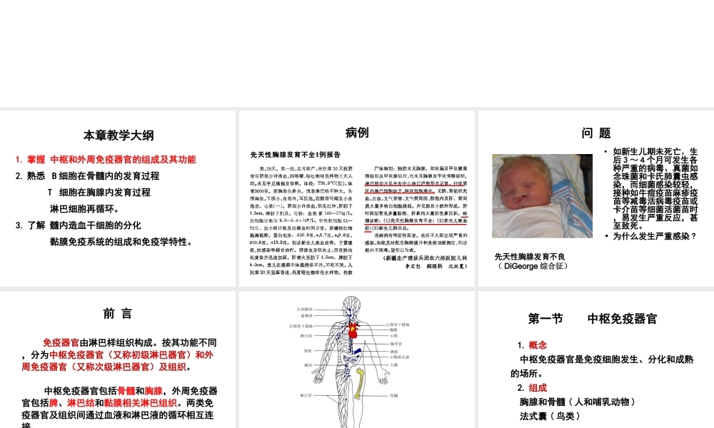 第三章 免疫器官与组织.ppt