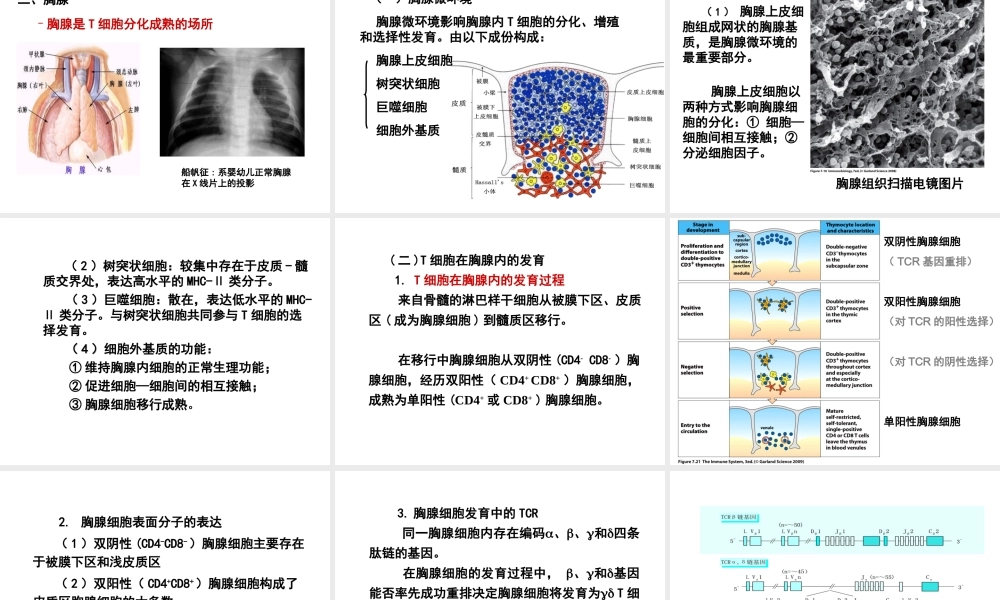 第三章 免疫器官与组织.ppt