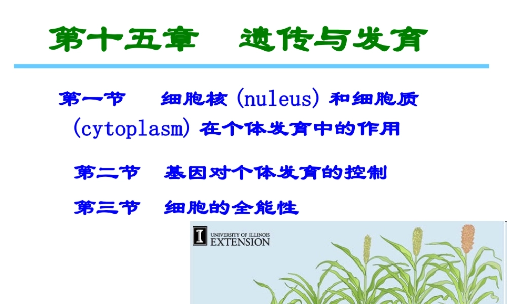 第十五章遗传和发育 缩略刘庆昌简要.ppt