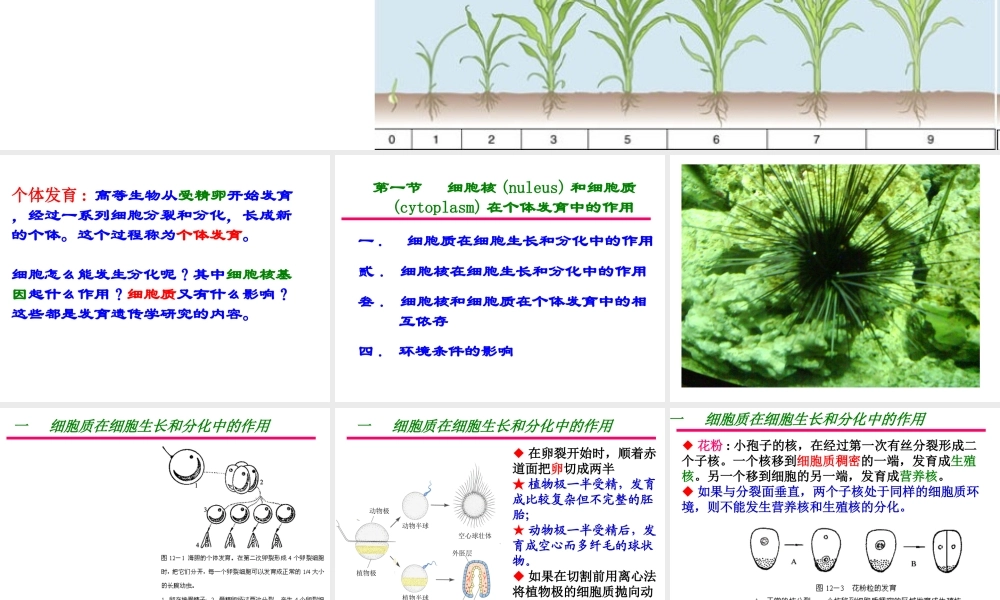 第十五章遗传和发育 缩略刘庆昌简要.ppt
