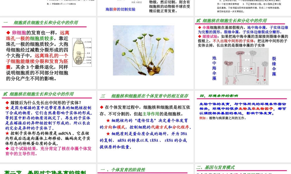 第十五章遗传和发育 缩略刘庆昌简要.ppt