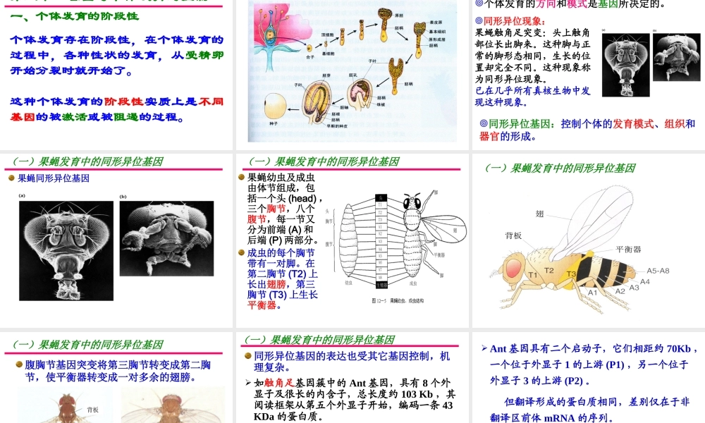 第十五章遗传和发育 缩略刘庆昌简要.ppt