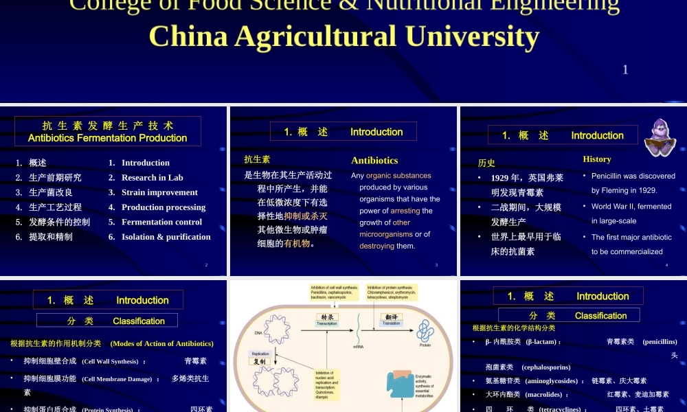 第十一章 抗生素发酵生产工艺学.ppt