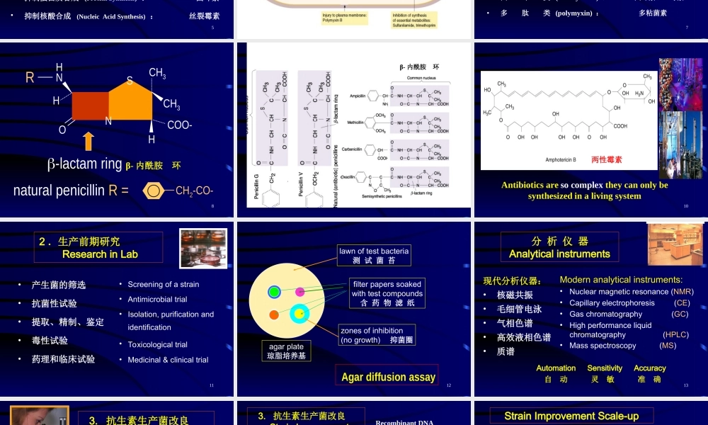 第十一章 抗生素发酵生产工艺学.ppt