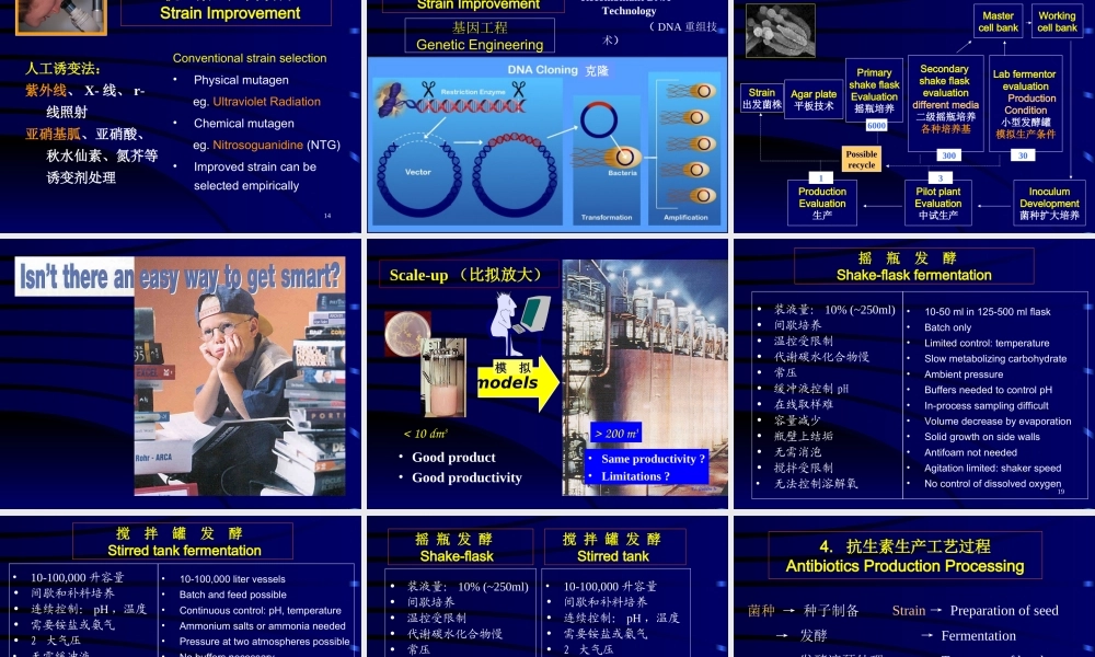 第十一章 抗生素发酵生产工艺学.ppt