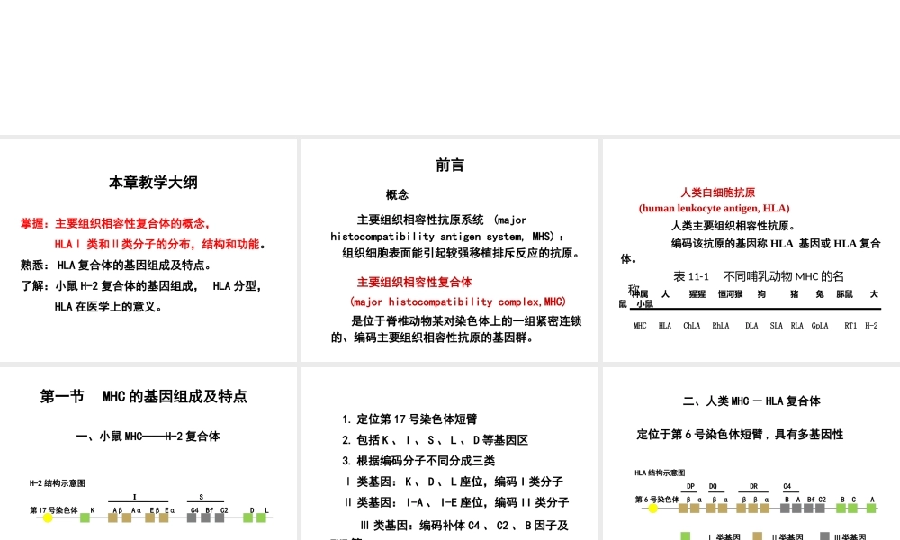 第十一章 主要组织相容性复合体.ppt