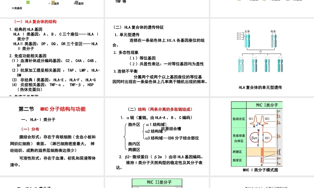 第十一章 主要组织相容性复合体.ppt
