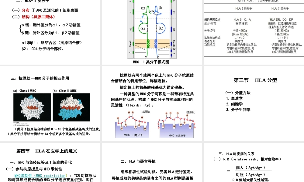 第十一章 主要组织相容性复合体.ppt