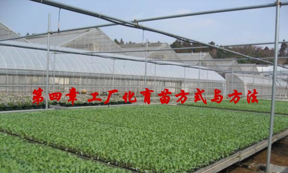 第四章 工厂化育苗方式和方法.ppt