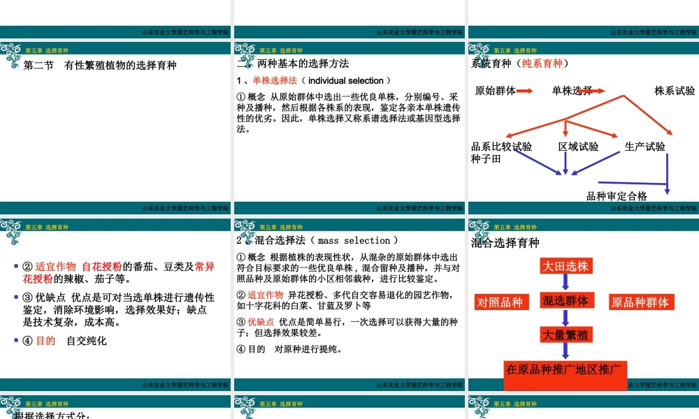 第五章选择育种和芽变育种.ppt