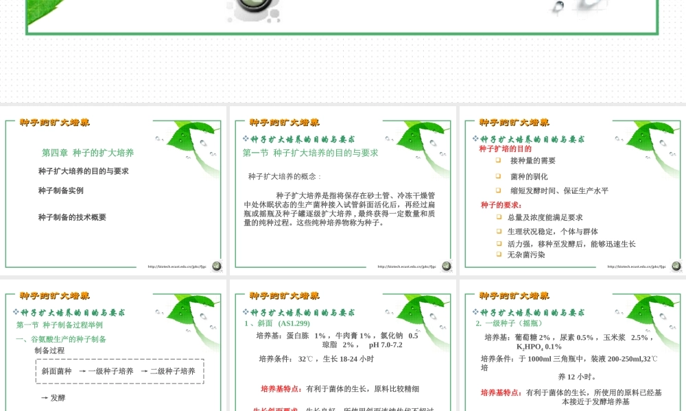 第四章 种子的扩大培养 (2006).ppt