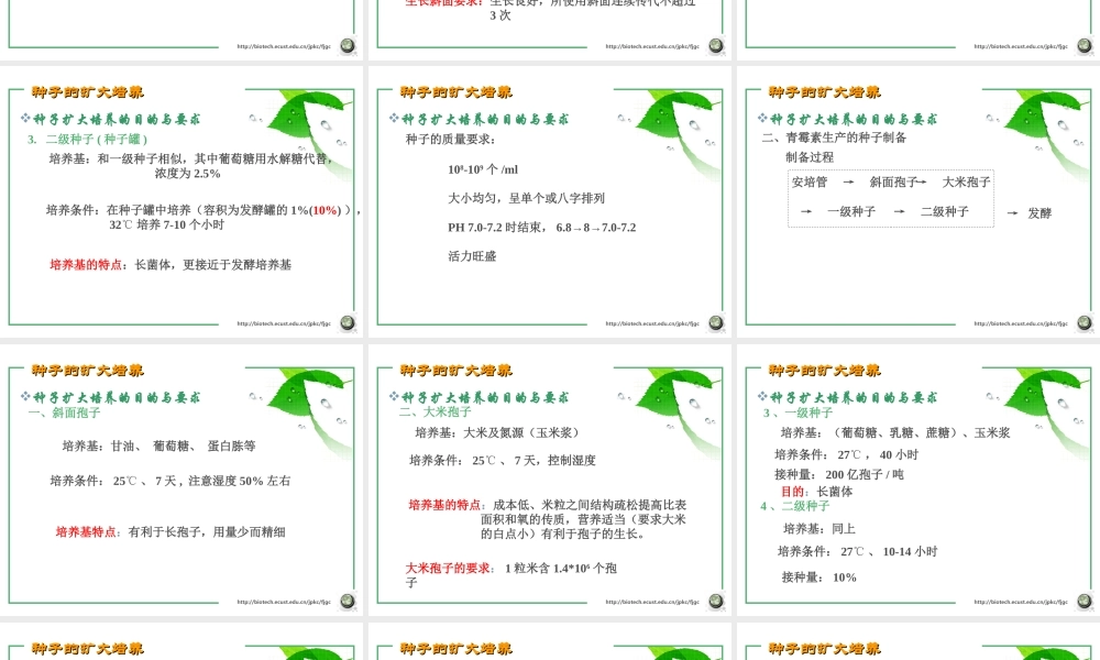 第四章 种子的扩大培养 (2006).ppt