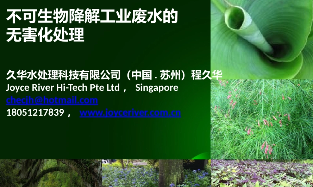 杭州-不可生物降解的工业废水的无害化.pptx