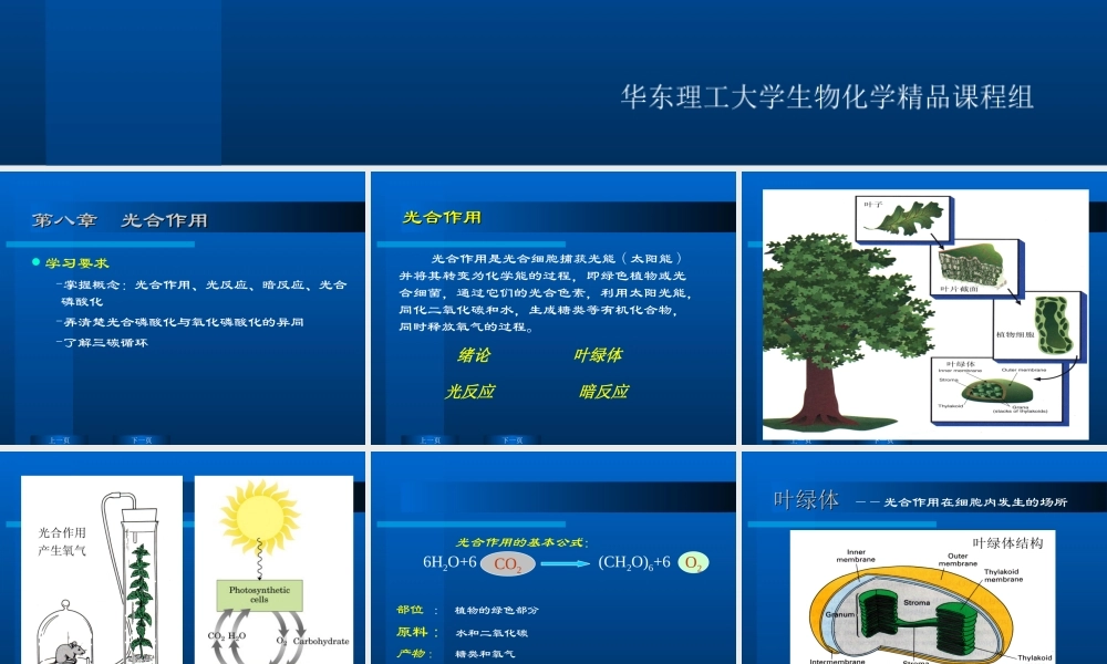 华东理工生物化学chap08.ppt