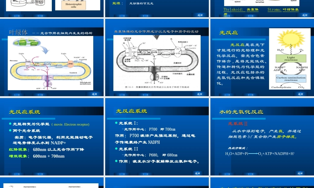 华东理工生物化学chap08.ppt