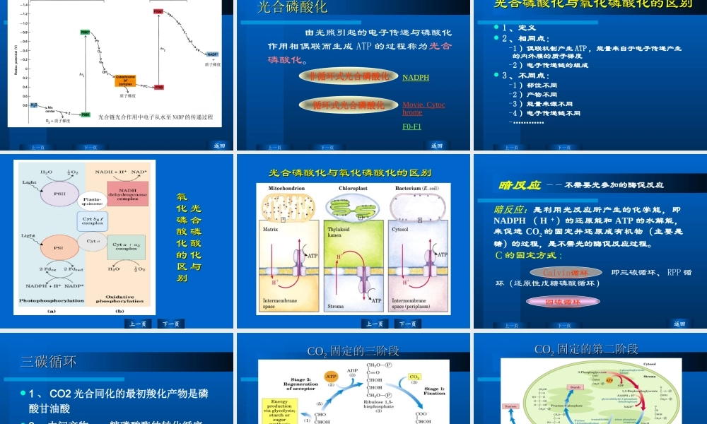 华东理工生物化学chap08.ppt