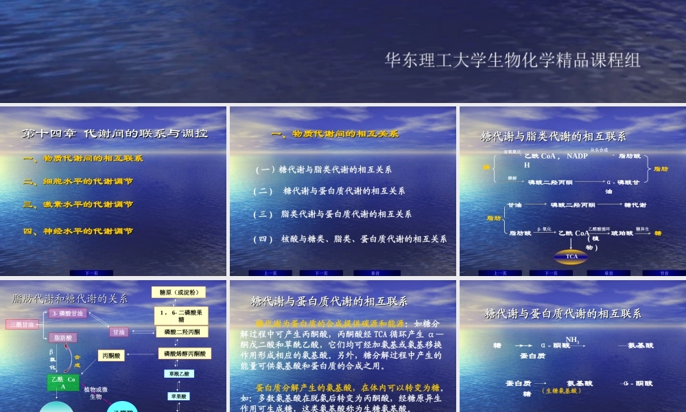 华东理工生物化学chap14.ppt