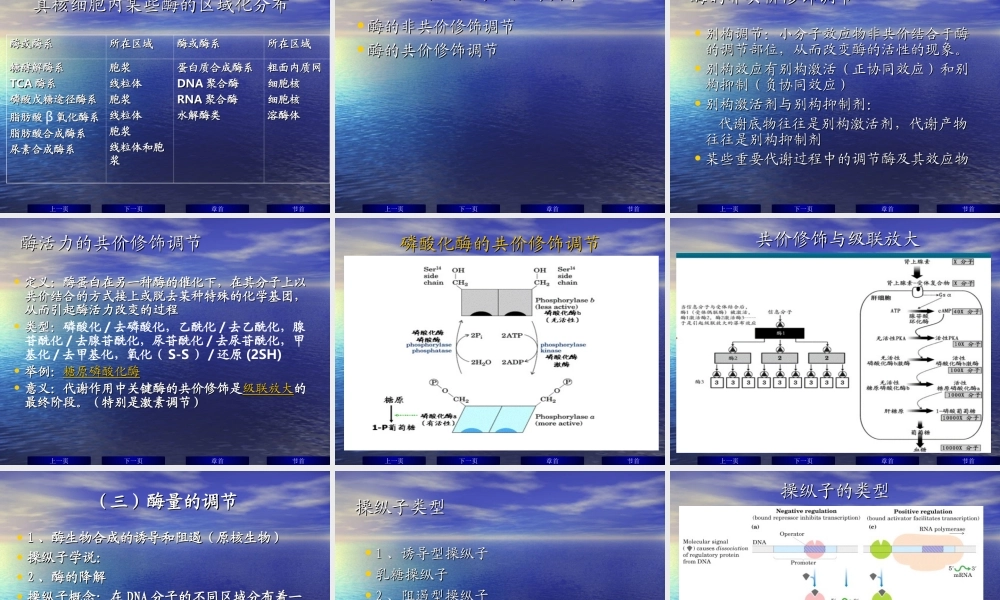 华东理工生物化学chap14.ppt