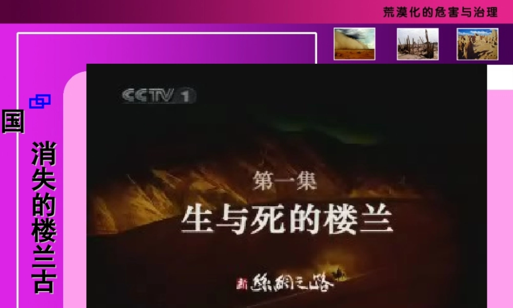 荒漠化的危害与治理 课件.ppt