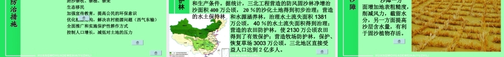 荒漠化的危害与治理 课件.ppt
