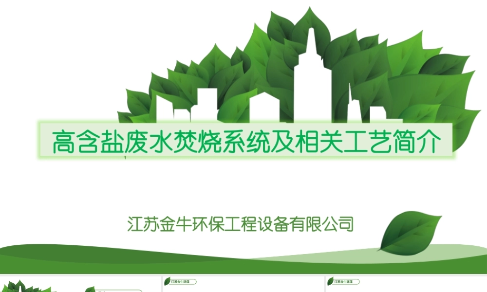 江苏金牛 高含盐废水焚烧演讲.pptx