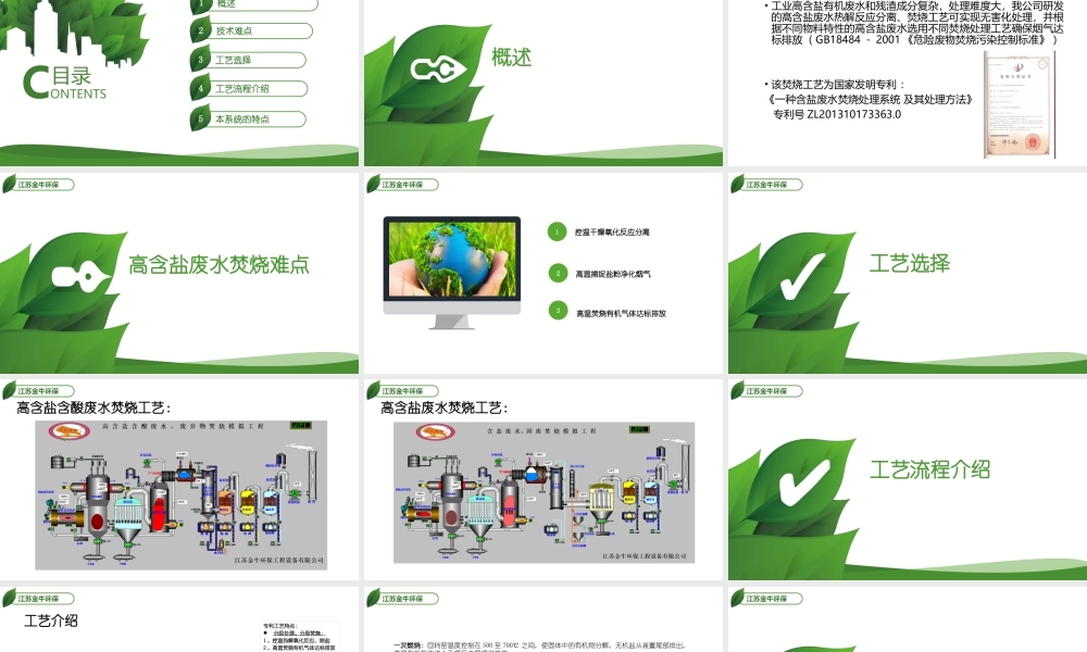 江苏金牛 高含盐废水焚烧演讲.pptx