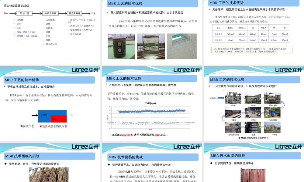 立升PVDF复合膜在工业废水MBR系统中的应用.ppt